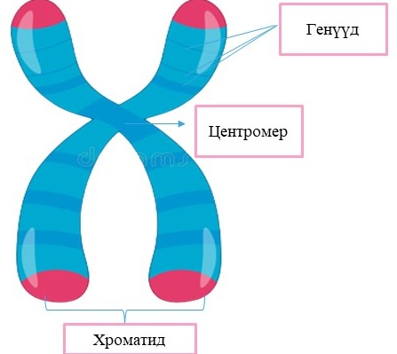 Мэдлээ | Цахим контент
